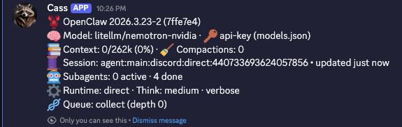 OpenClaw status bar on NIM through LiteLLM path showing broken token count at 0/262k (0%), 0 compactions