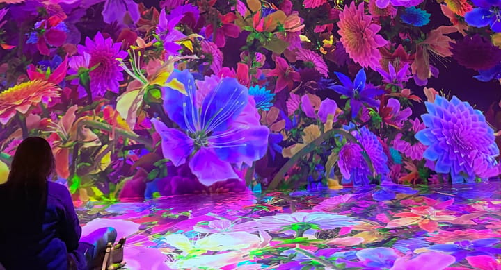 Floor-to-ceiling projection of oversized flowers and branches in vivid purples, pinks, and blues, with a silhouetted visitor sitting on the reflective floor